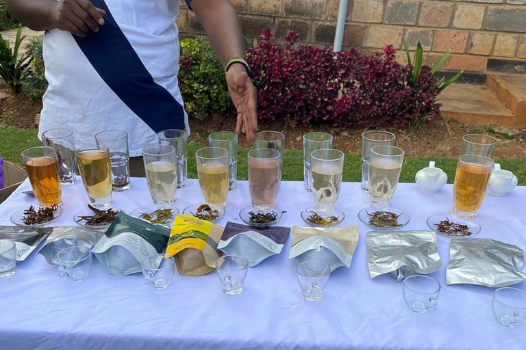 Nairobi: Purple Tea Farm Tour & Tasting Daytrip