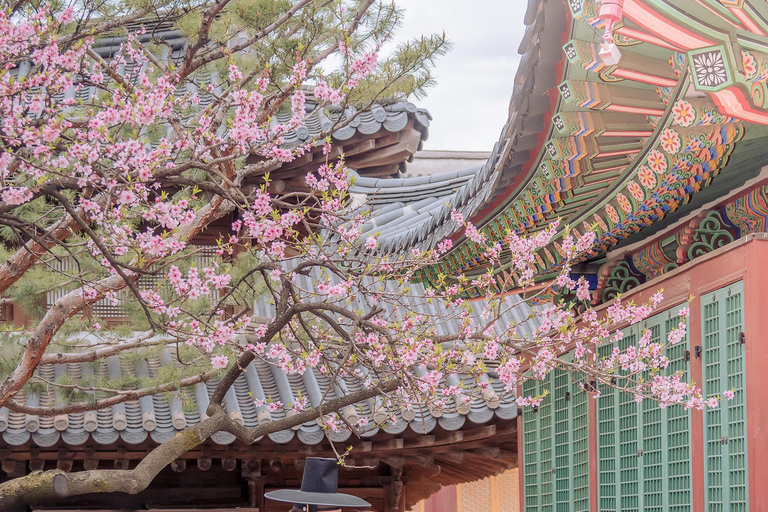 Seoul: Premium Hanbok Photo in Seoul by Sony Award Pro