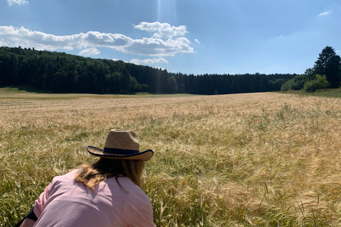 Stuttgart : randonnée consciente au château de Lichtenstein avec transfertStuttgart : Randonnée au château de Lichtenstein avec transfert