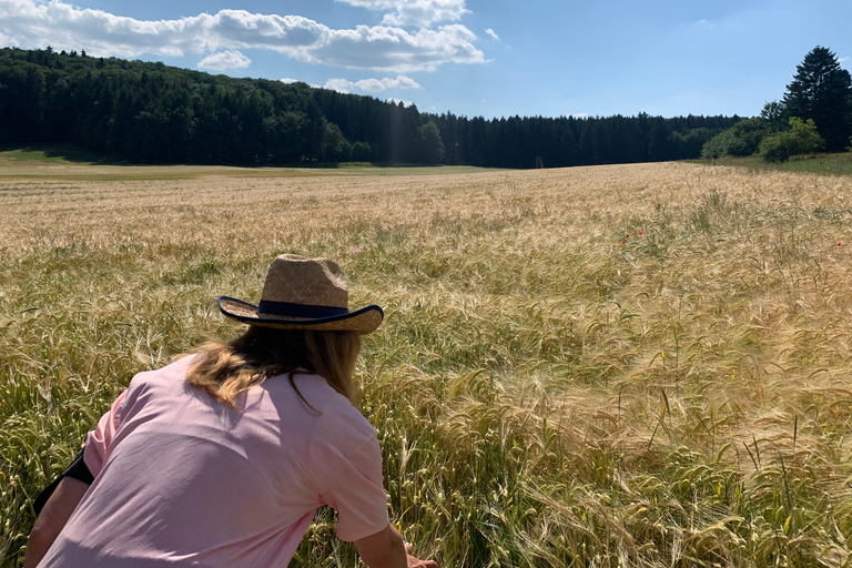 Stuttgart : randonnée consciente au château de Lichtenstein avec transfertStuttgart : Randonnée au château de Lichtenstein avec transfert