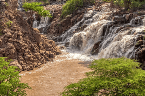 Awash-Nationalpark – Safari &amp; Wasserfallblick
