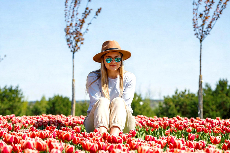 Seoul: Cherry Blossom & Pokpo Waterfall Cafe One Day Tour A. Cherry Blossom Spring Route