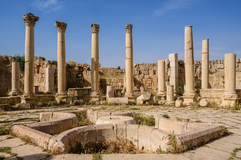 Från Amman : Jerash halvdagsutflyktTransport och inträdesbiljetter