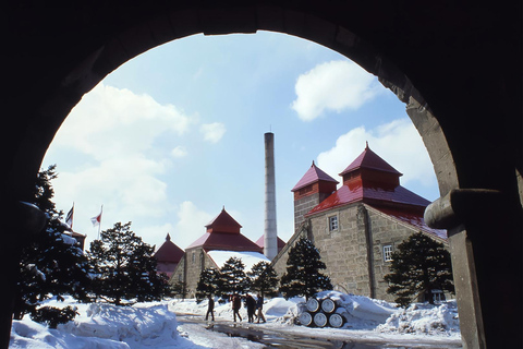 Hokkaido Cherry Blossom Limited:Cape Kamui&Temiya Day Tour Depart from the North Exit of JR Sapporo Station