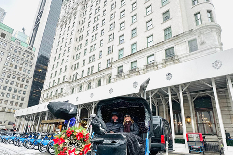 مدينة نيويورك جولة &quot;هوم ألون 2&quot; و&quot;إلف&quot; في سنترال بارك