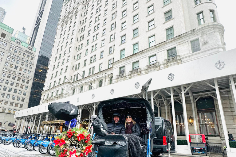 مدينة نيويورك جولة &quot;هوم ألون 2&quot; و&quot;إلف&quot; في سنترال بارك