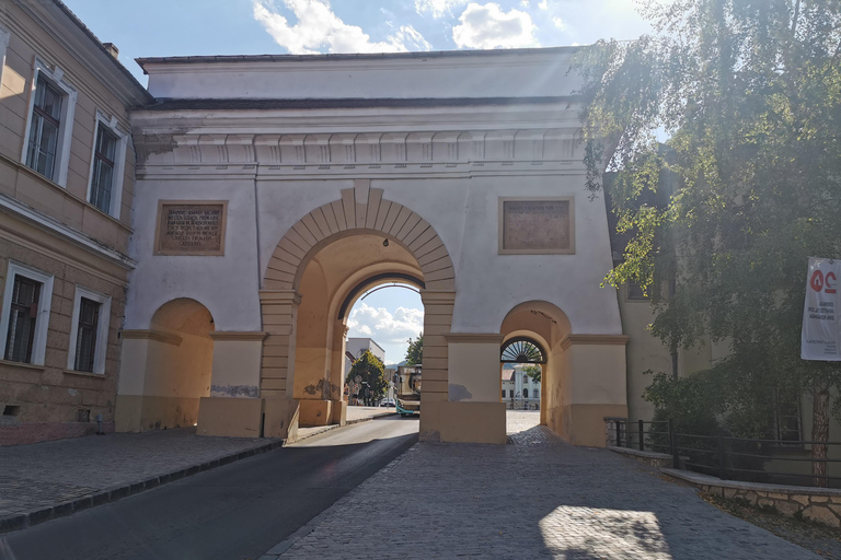 Dagsutflykt till Bran Draculas slott och Peles slott