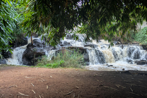 Karura Forest walking tour with nature and waterfalls.
