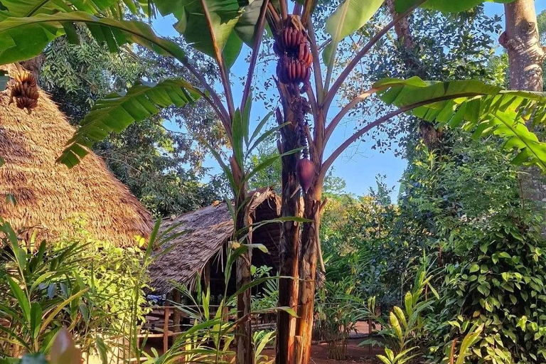 Spice Farm, Stone Town, Prison & Nakupenda+pick up+entry fee