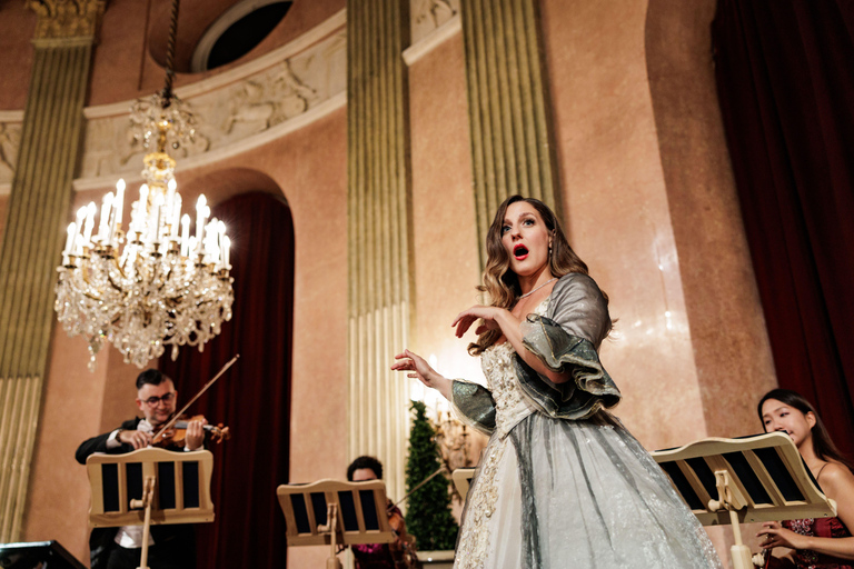Imperial Gala Concert in Palais Auersperg Imperial Gala Dinner & Concert Category B