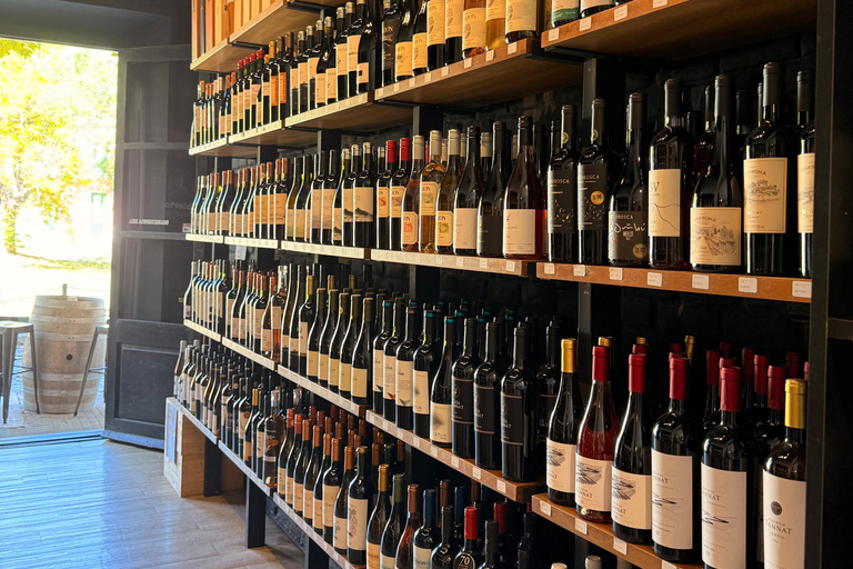 Colonia del Sacramento: Wine Tasting & Empanada Pairing