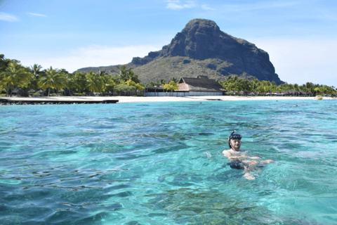 Île aux Bénitiers in motoscafo + nuoto con i delfini e pranzo