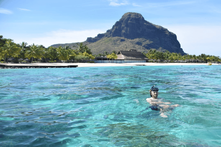 Île aux Bénitiers in motoscafo + nuoto con i delfini e pranzo