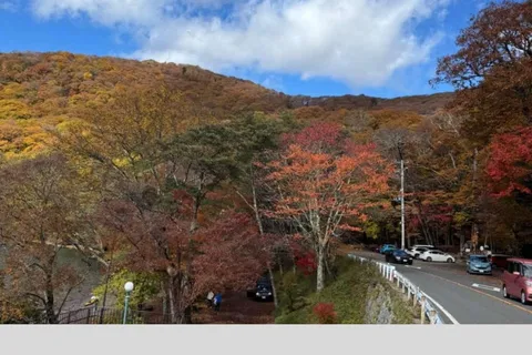 Tokyo: Escursione privata di un giorno al patrimonio mondiale di Nikko Servizio di prelievo in hotel
