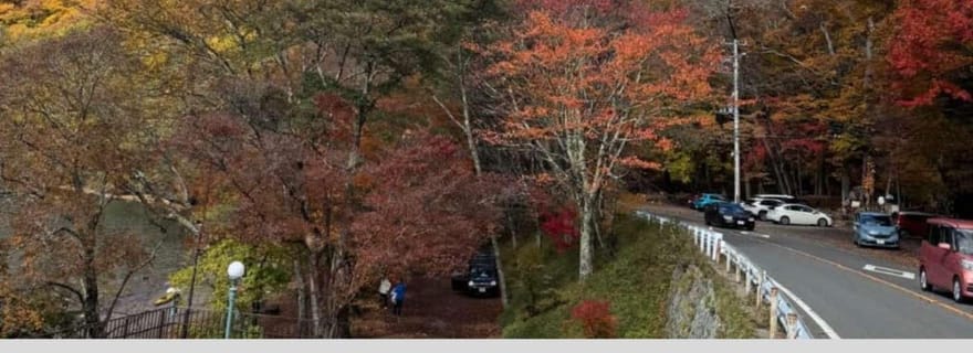 Tokyo : Nikko World Heritage Excursion privée d'une journée Prise en charge à l'hôtel