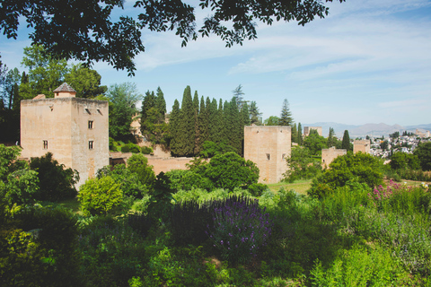 Motril: Alhambra Shore Excursion with Guide Private Tour