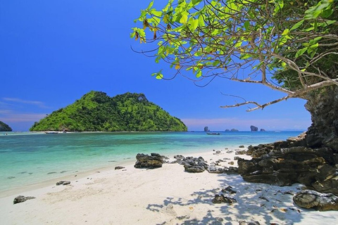 From Phuket: Phi Phi Islands, Maya Bay, and Khai Nok Tour