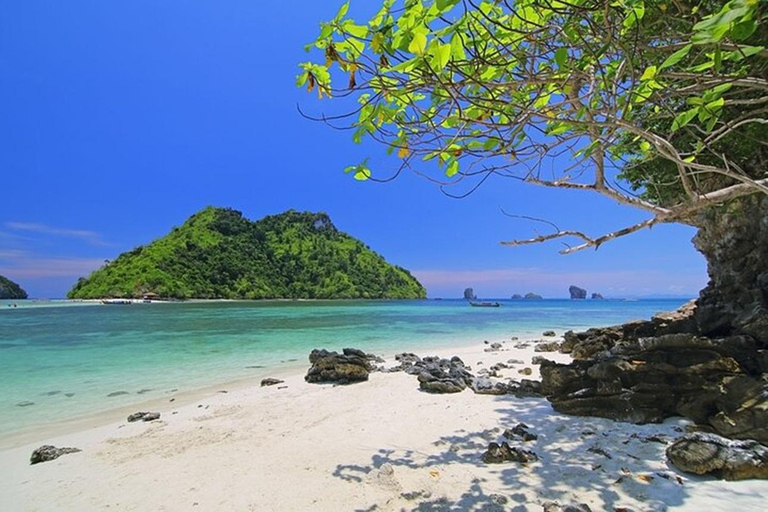 From Phuket: Phi Phi Islands, Maya Bay, and Khai Nok Tour