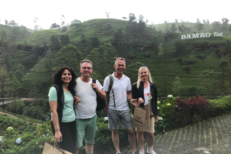 Ella Tagestour von Kandy aus (private Tour mit Mittagessen)Ella Tagestour von Kandy über Nuwara Eliya und Tea Estates