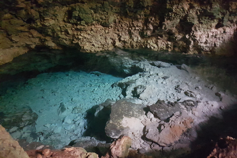 Zanzibar: Horseback Riding and Turtle Aquarium Visit