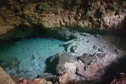 Delfín +Bosque de Jozani+Cueva de Kuza+Restaurante La Roca y Paje