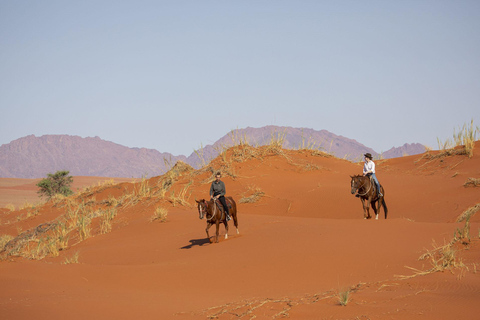 From Windhoek: 6-Day Namibia Safari with Lodging & Meals