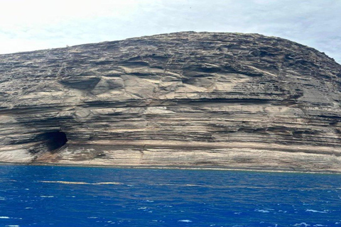 Crucero de un día en catamarán (Isla Norte - Compartido) con servicio de recogidaCrucero de un día en catamarán (Isla Norte - Compartido)