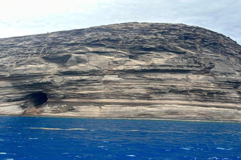 Crucero de un día en catamarán (Isla Norte - Compartido) con servicio de recogidaCrucero de un día en catamarán (Isla Norte - Compartido)