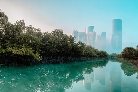 Abu Dhabi: Reem Central Park 2-hour Guided Kayak Tour