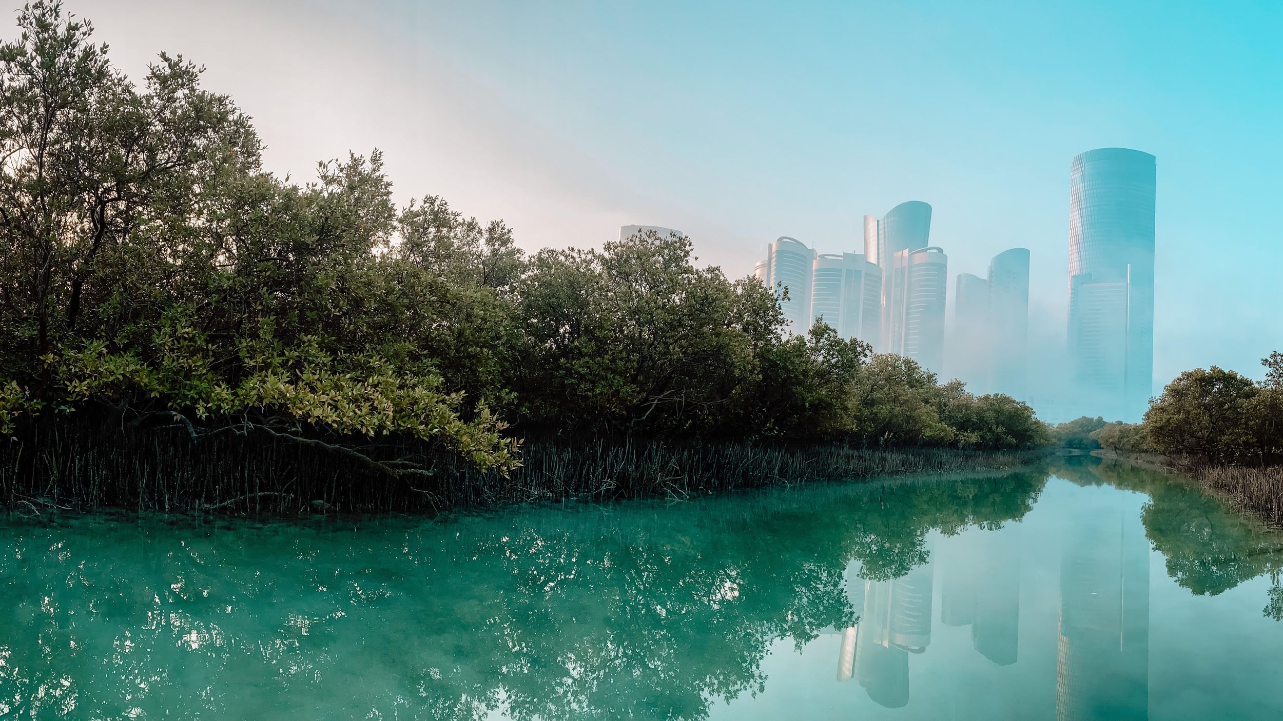 Abu Dhabi: Reem Central Park 2-stündige geführte Kajaktour