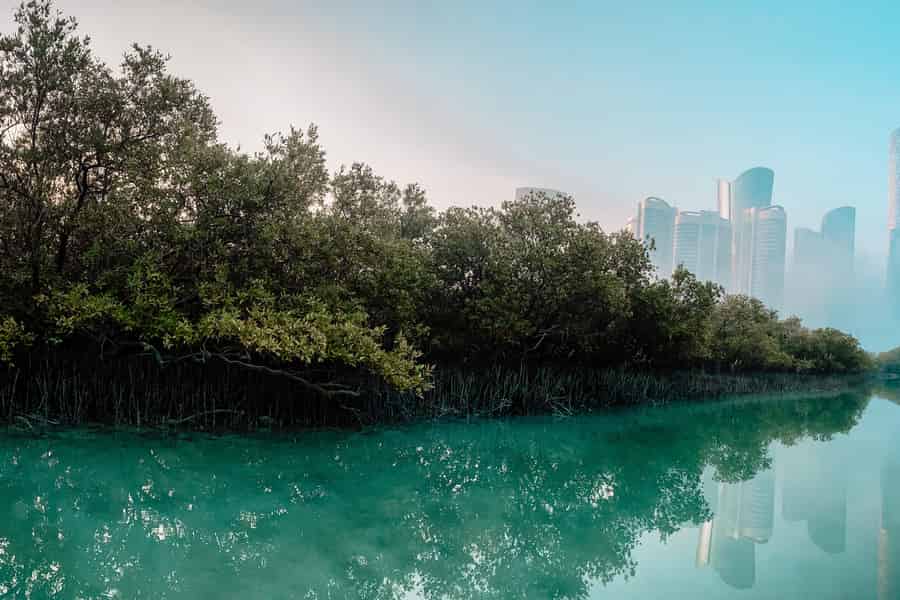Abu Dhabi: Reem Central Park 2-stündige geführte Kajaktour