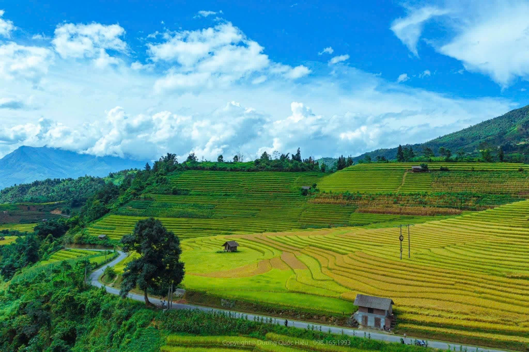 Sapa-Trekking: Hmong- und Red-Dao-Dorf mit Kräuterbad