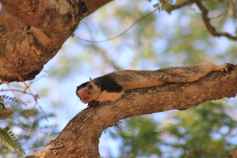 Z: Hikkaduwa/ Galle/ Unawatuna/ Talpe - YALA Safari