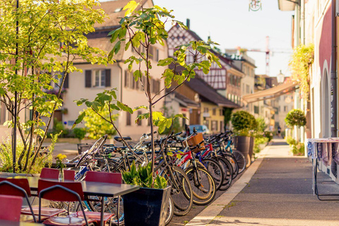 Winterthur: Geführte Stadtführung durch die Altstadt