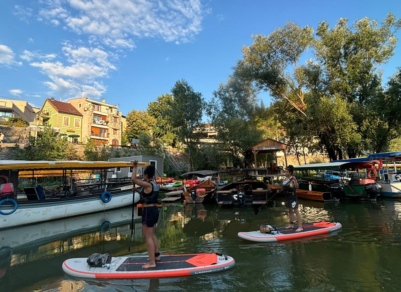 Virpazar: Udforsk den fantastiske Skadarsø på paddleboard