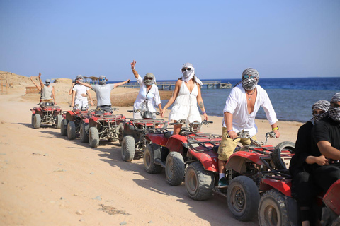 Sharm: Jeep, Salama Canyon, Snorkel, Camel , ATV ride& Dahab Sharm: Jeep, Salama Canyon, Snorkel, Camel , ATV & Dahab
