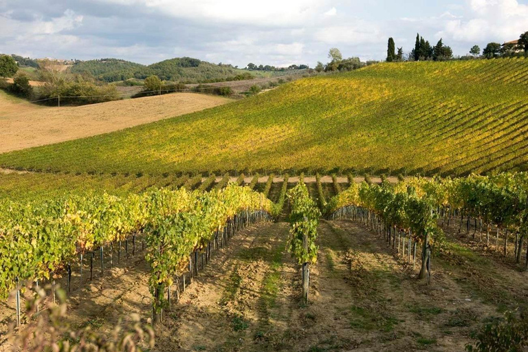 Florence : Excursion d'une journée à Sienne et San Gimignano avec déjeuner et vin