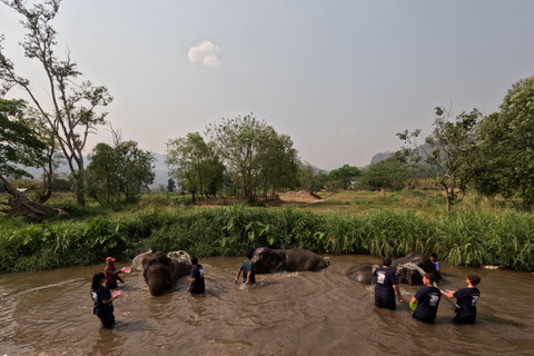 Programme de soins aux éléphants et chutes d&#039;eau collantes en vedetteJournée complète de soins aux éléphants et chute d&#039;eau collante (Programme B)