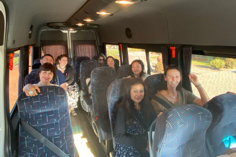 Farellones and Casablanca Valley: Private Mountain Tour and Premium Wines