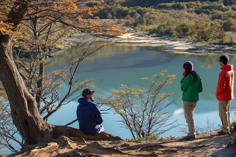 Tierra del Fuego National Park: Small Group Tour with Lunch