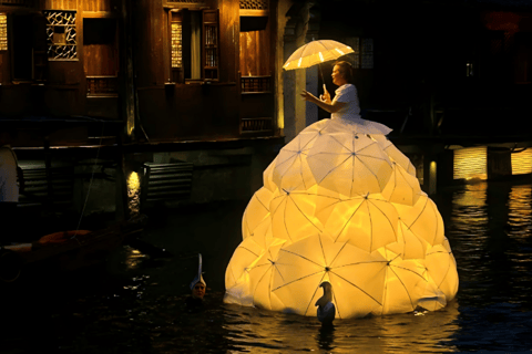 From Hangzhou: Wuzhen Water Town Day Trip & Night Lights
