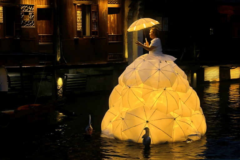 From Hangzhou: Wuzhen Water Town Day Trip & Night Lights