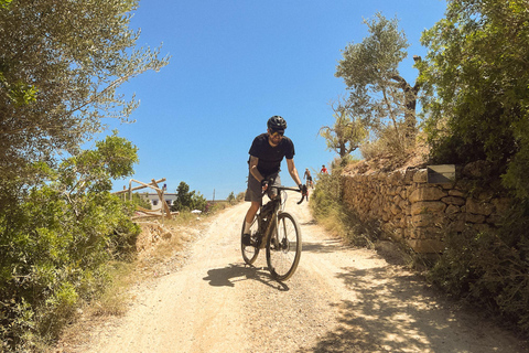 Ibiza: Self-Guided eMTB/e-Bike Rental with GPS Routes