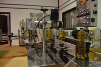 Visit an almazara + extra virgin olive oil tasting, Baeza - Housity