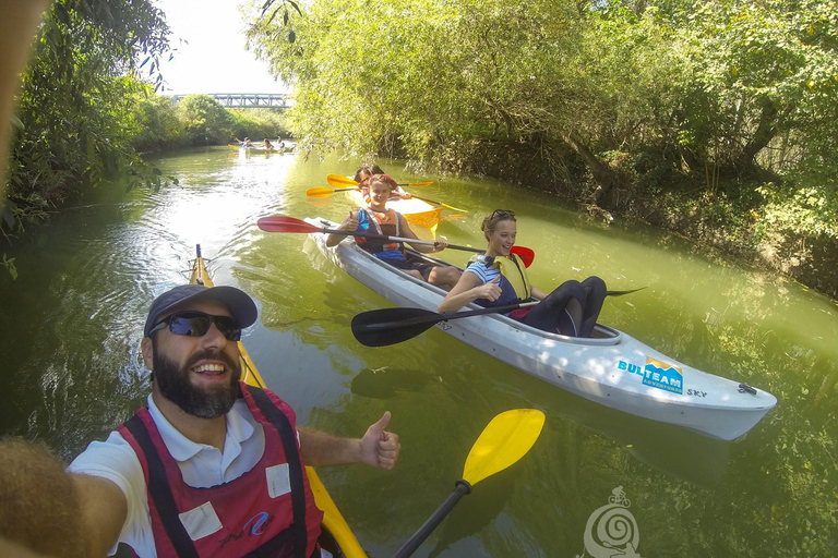 Varna: Kamchia River Kayaking Day Tour