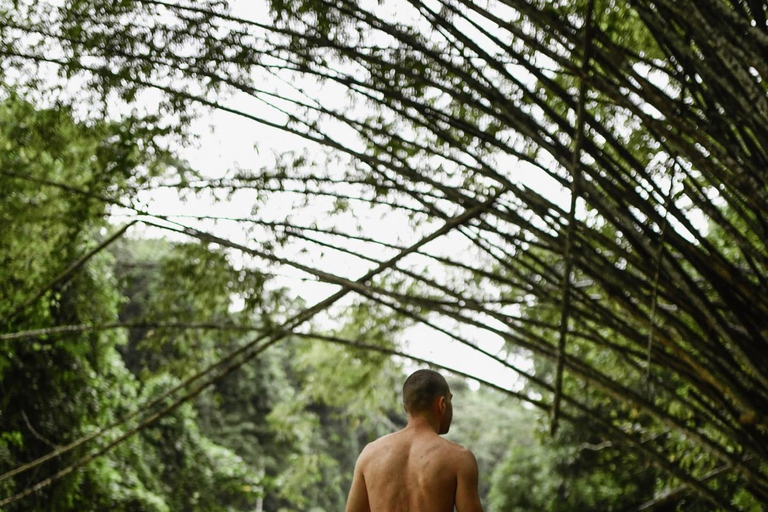 Passeio de um dia com rafting em bambu e safári no pântano no Rio Martha BraeDe Montego Bay