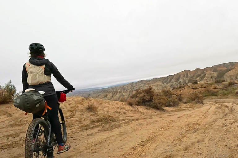 Granada: Gorafe Desert E-Mountain Bike Tour with Transfer