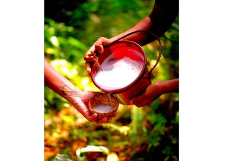 From Kandy: Traditional Eco Village Tour with Cooking Class