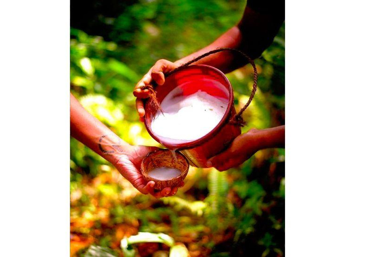 From Kandy: Traditional Eco Village Tour with Cooking Class