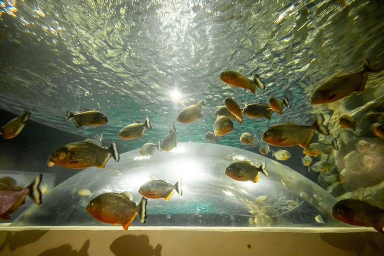 Rio de Janeiro Aquarium: AquaRio Entrance Official Ticket